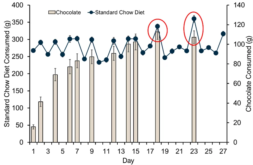 Graph showing consumption of standard chow and chocolate in a limited‑access preclinical intoxication model, demonstrating increased hedonic intake during brief chocolate access periods.