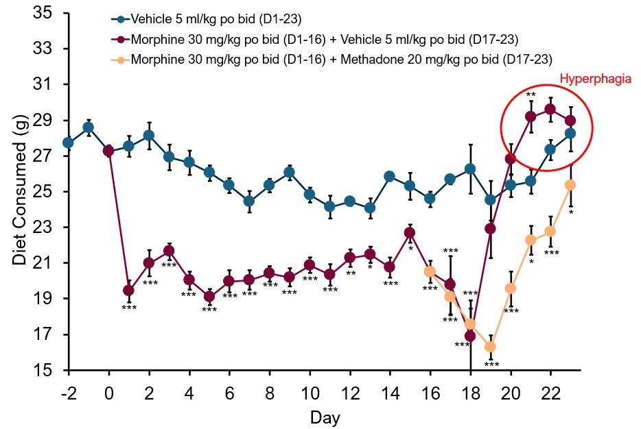 Line graph showing daily diet consumption over time in rodents during baseline, morphine dependence, and withdrawal, highlighting increased food intake (hyperphagia) during morphine withdrawal compared with vehicle controls.