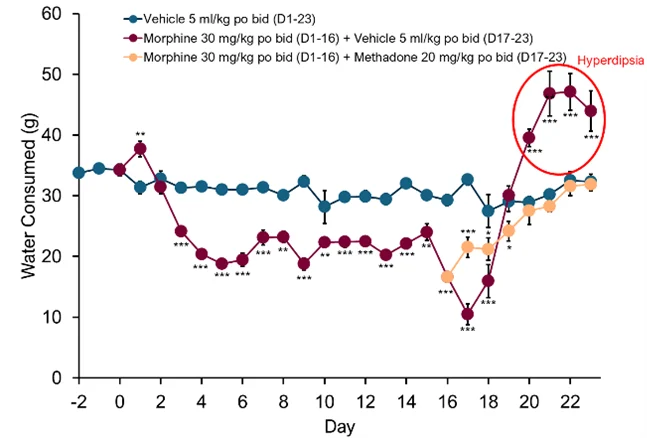 Line graph showing daily water consumption over time in rodents during baseline, morphine dependence, and withdrawal, highlighting increased water intake (hyperdipsia) during morphine withdrawal compared with vehicle controls.
