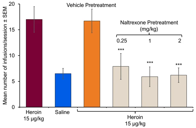 Bar graph showing reduced heroin self‑administration in rats following naltrexone treatment in a preclinical intoxication model compared with vehicle control.