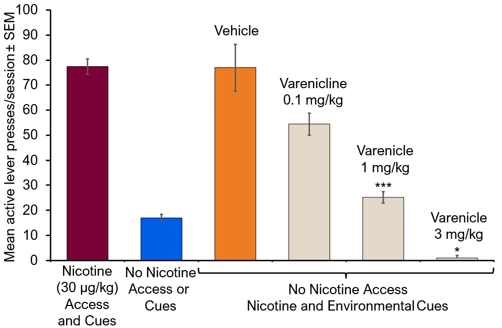 Bar chart showing mean active lever presses in rats during nicotine access, extinction, and cue‑induced reinstatement, demonstrating dose‑dependent reduction in nicotine‑seeking behaviour following varenicline treatment.