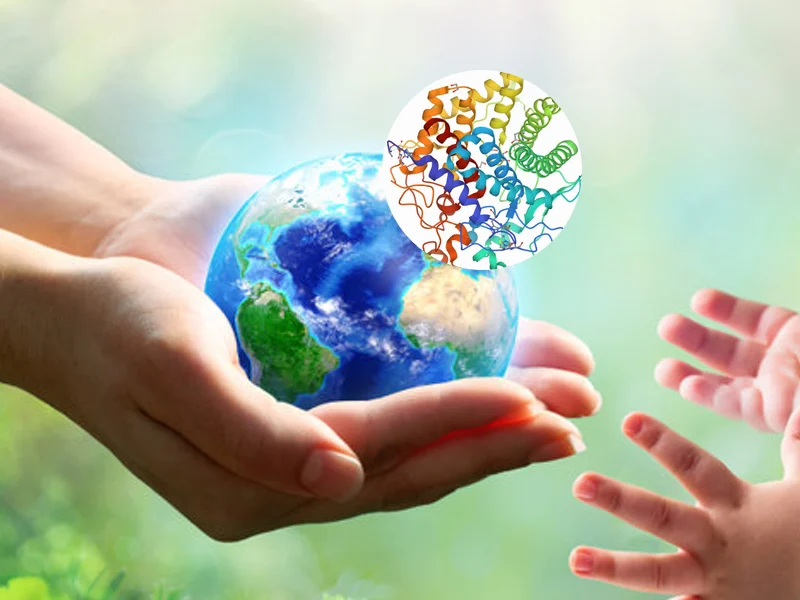 Protein and the Planet