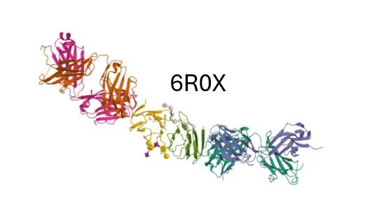 How the Structure of G6b-B was Determined