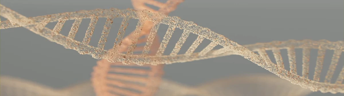 A Path From Biomarkers to Impact in Drug Discovery