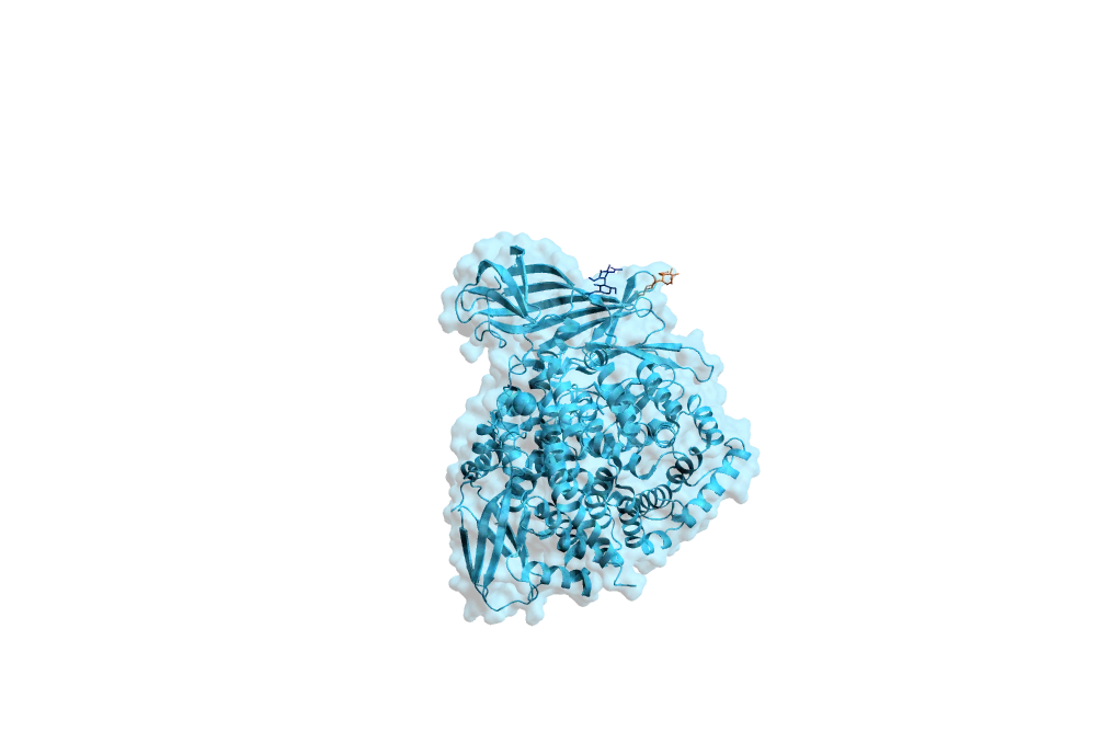 X-ray crystallography structure of ERAP1 complexes