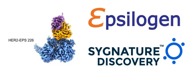 High‑Resolution Insight Through Collaboration — Cryo‑EM Structures Supporting the Development of Therapeutic IgE