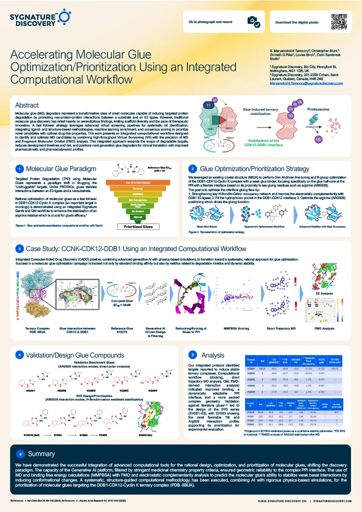 Accelerating Molecular Glue Optimization/Prioritization Using a Computational Workflow