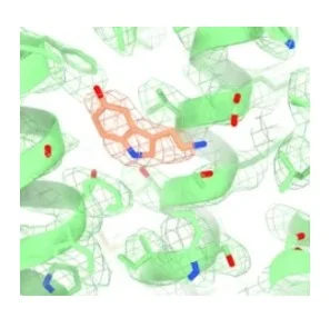 Active site of a protein