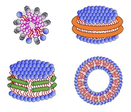 How to choose the right membrane protein mimetic for your research