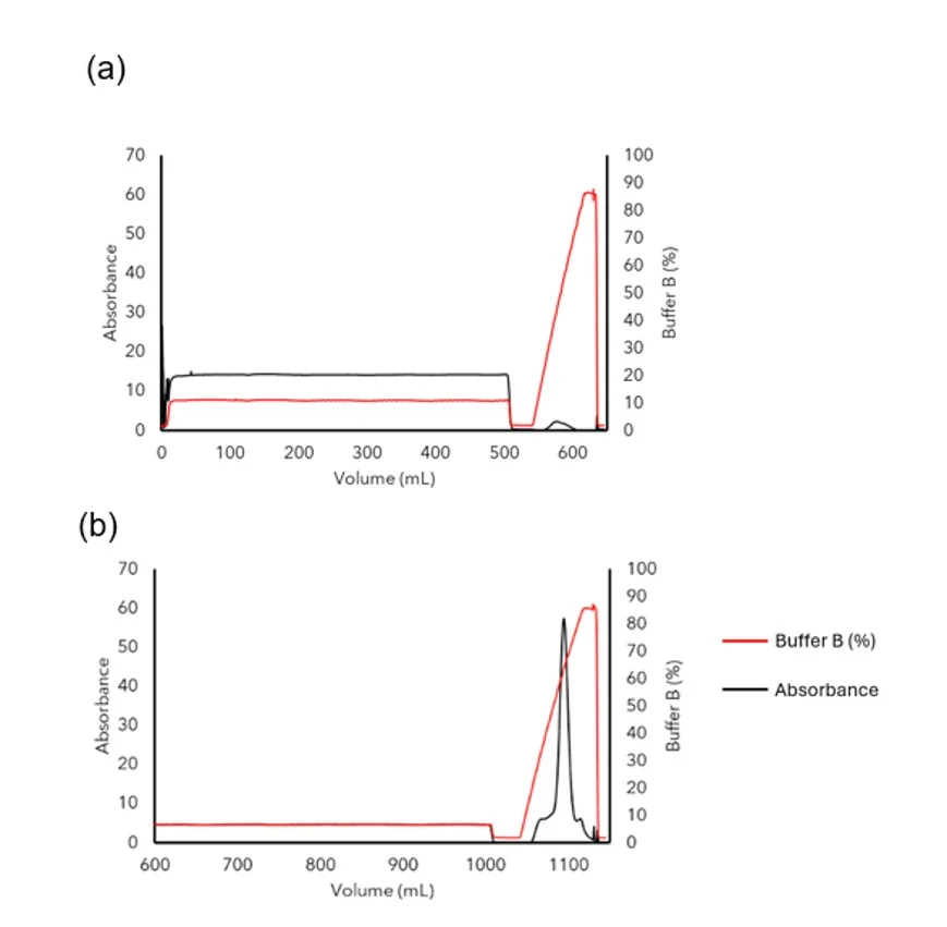 Chromatogram showing difference in interleukin capture on an IEX column