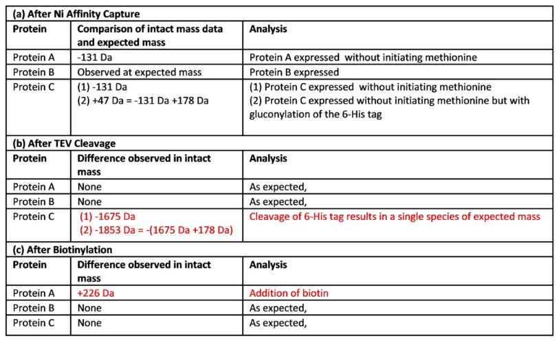 Table summarising intact mass spectrometry analysis of a heterotrimeric protein complex following nickel affinity purification, TEV cleavage and biotinylation. Results confirm expression of Proteins A, B and C, successful removal of the 6His tag from Protein C, and site-specific biotinylation of Protein A with a mass increase of 226 Da.