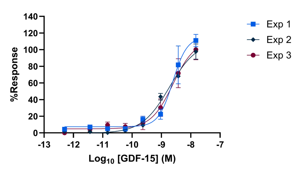 Reproducible GDF15 concentration-response curves across multiple experiments demonstrating pERK assay robustness and cell line stability.
