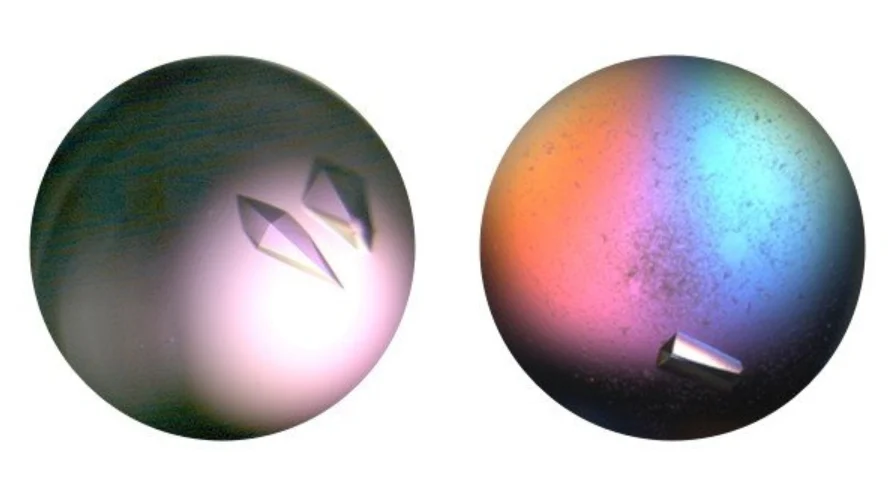 A Beginner’s Guide to Protein Crystallization and X-ray Data Processing