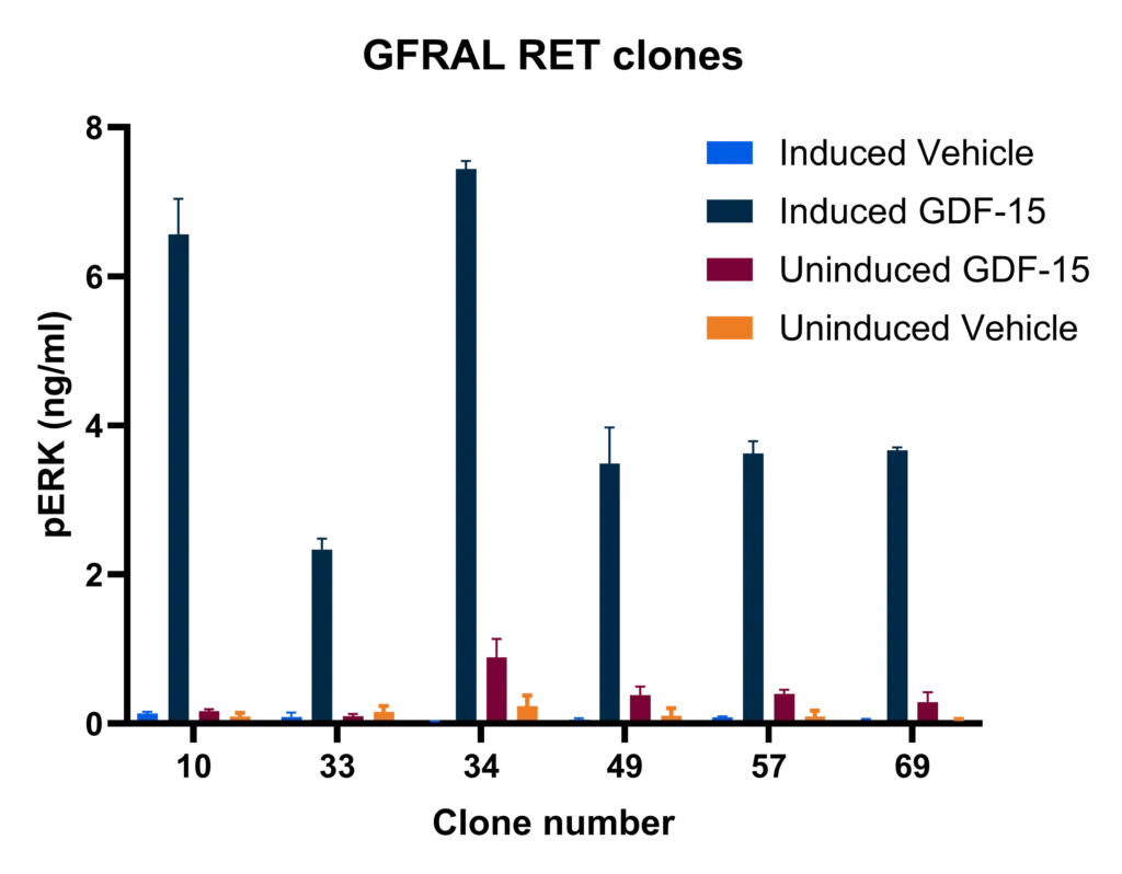 Functional screening of inducible GFRAL and RET expressing cell clones using a pERK ELISA assay to identify high-performing cell lines.