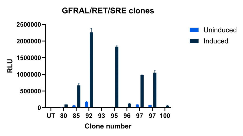 Workflow for generation and screening of SRE luciferase reporter clones in inducible GFRAL-RET cell lines.