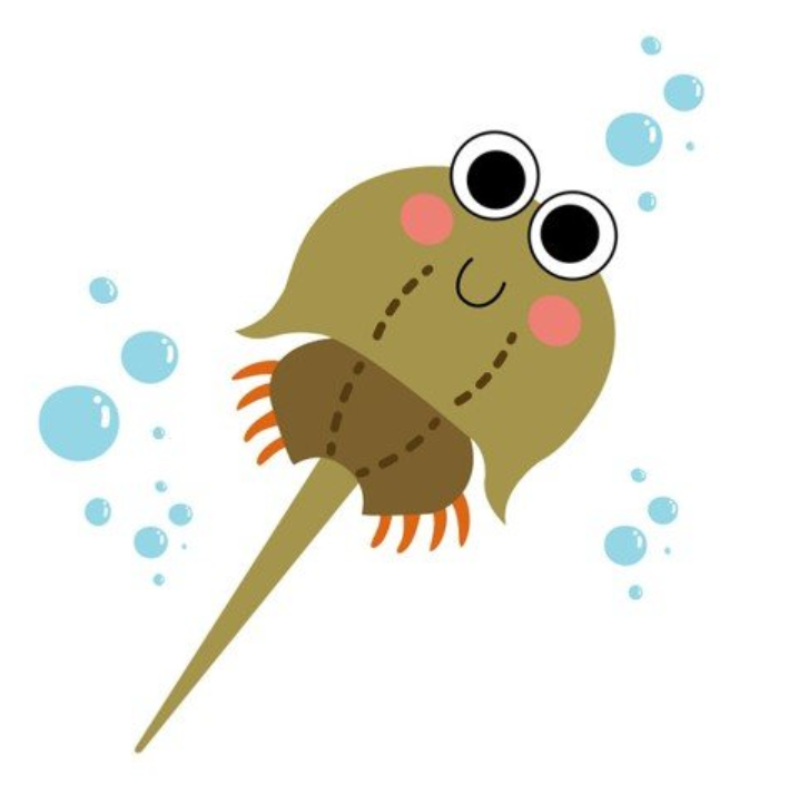 Illustration of a horseshoe crab, the source of Limulus amebocyte lysate (LAL) used in endotoxin testing.