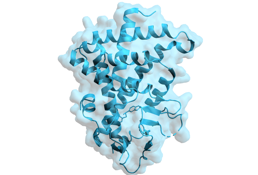 PXR structure