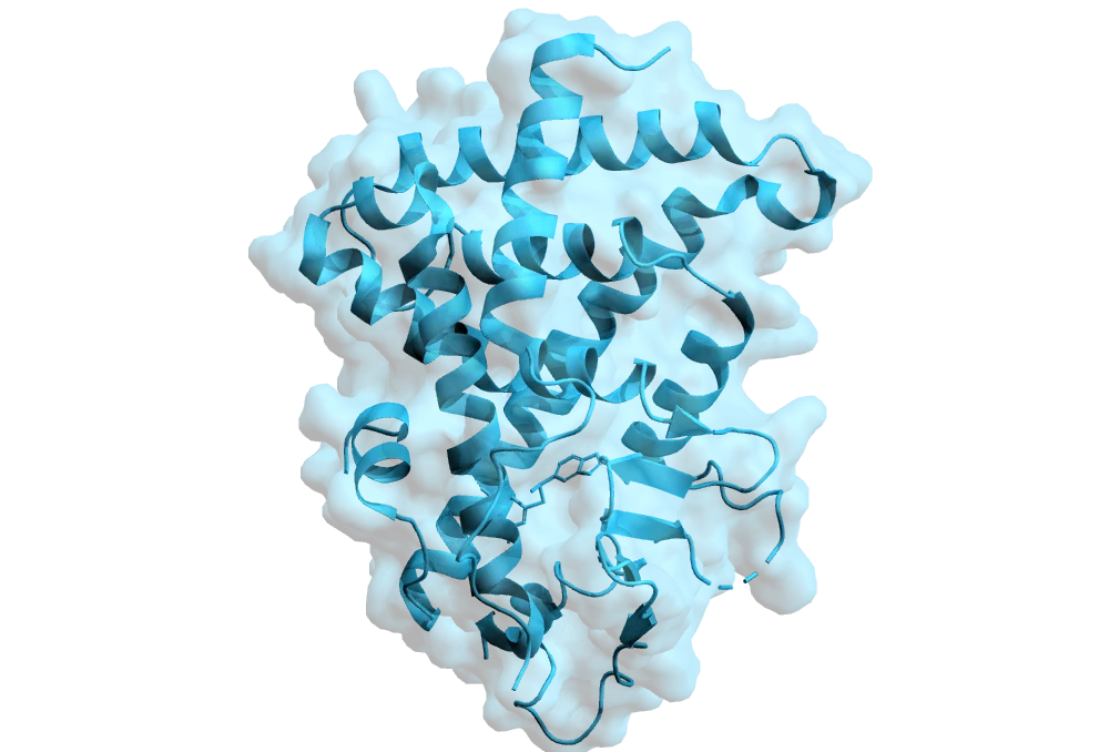 Generating a PXR Crystal Structure