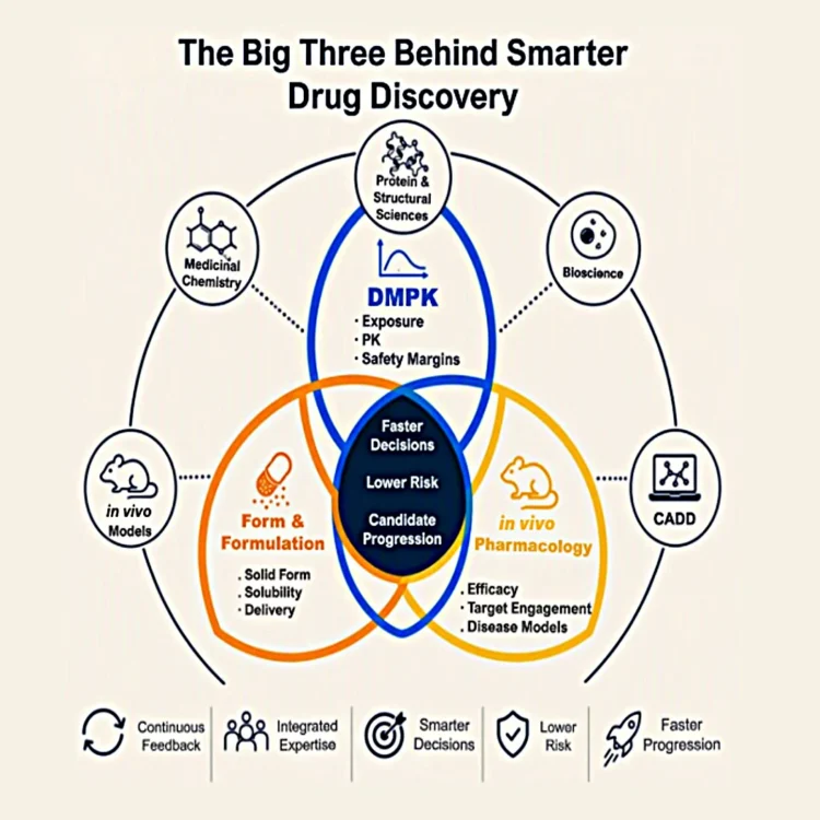 Venn diagram highlighting 'the big three behind drug discovery' - combining DMPK, Form and Formulation, and in vivo Pharmacology to drive faster candidate progression.