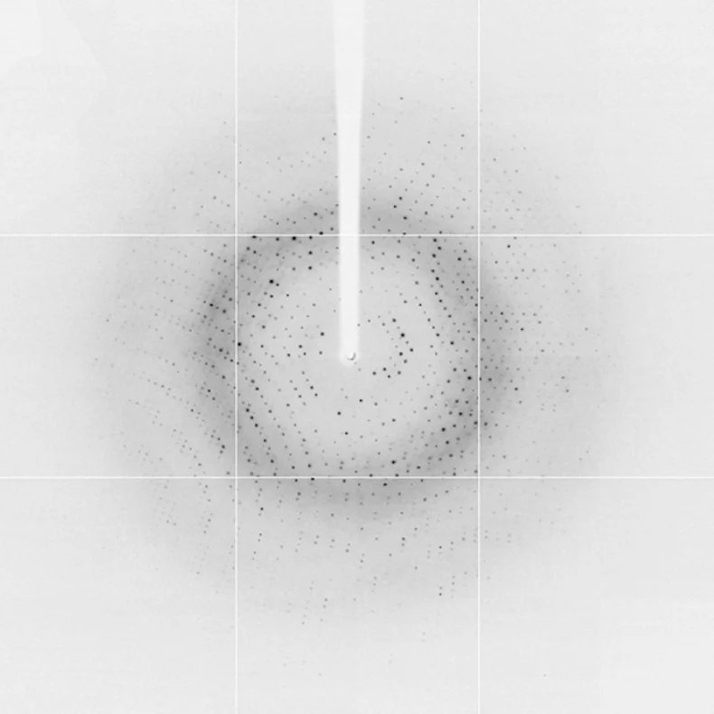Greyscale X-ray diffraction image featuring numerous small dark spots arranged in concentric circular rings around a bright central beam. A vertical beam stop extends from the top of the image to the centre, with faint grid lines visible across the detector.
