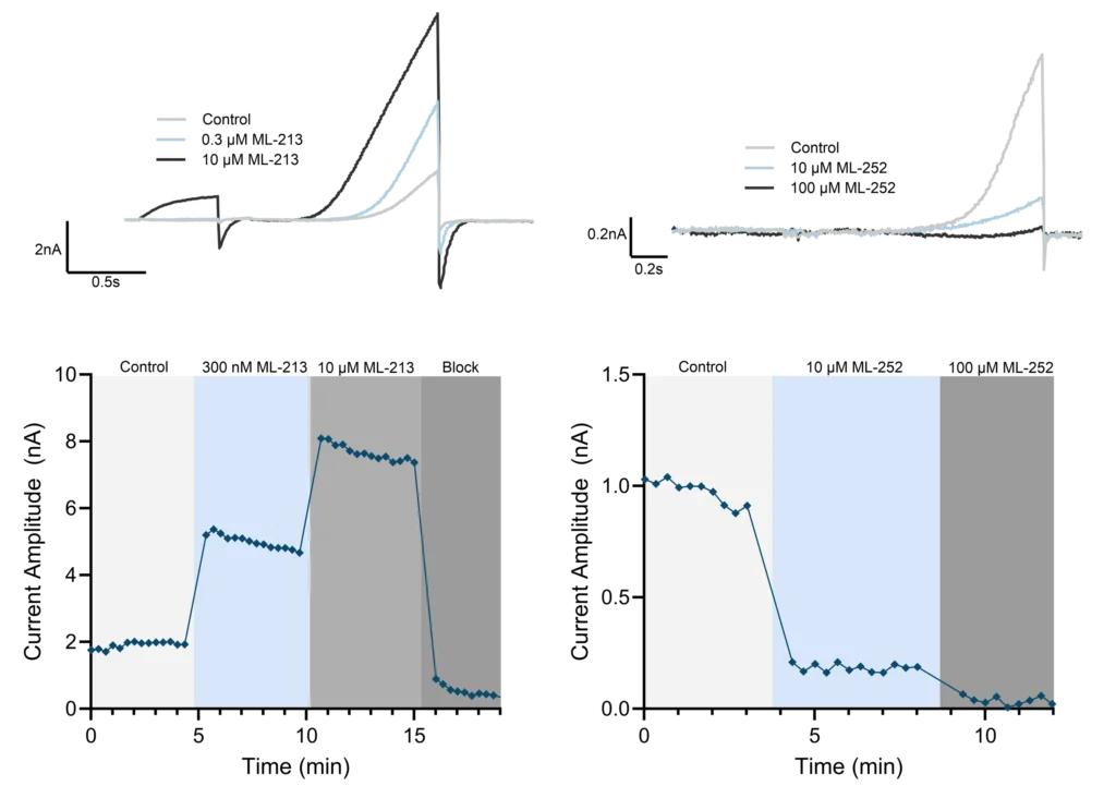 Concentration-dependent modulation of Kv7.2/7.3 channel activity by the activator ML-213 and inhibitor ML-252, demonstrating robust agonist and antagonist assay performance.