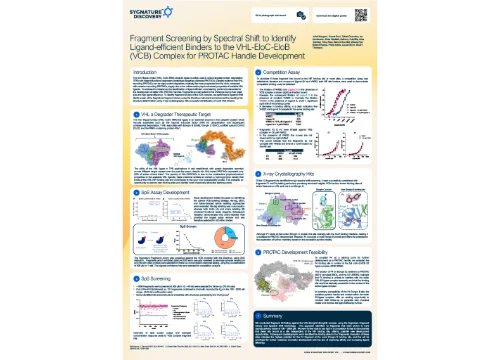 Fragment Screening for VHL Binders & PROTAC Development