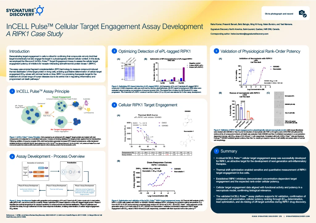 Cellular Target Engagement Assay Development