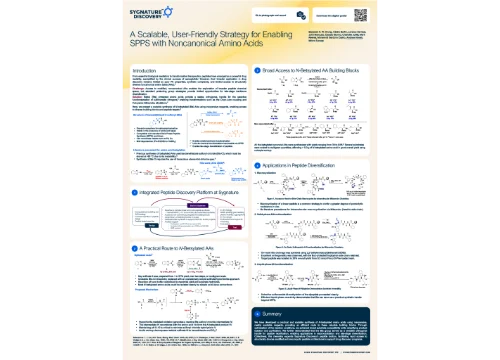 A Scalable Strategy for Peptide Diversification Using N-Betsylated Amino Acids
