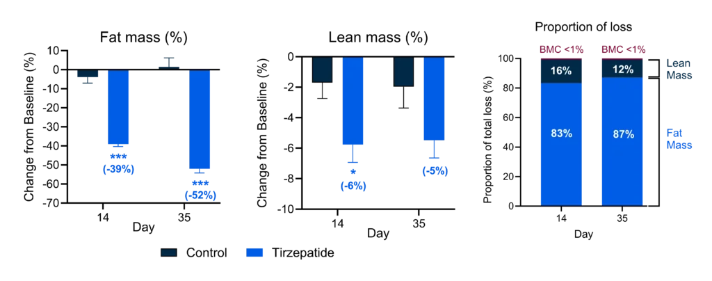 DEXA analysis showing tirzepatide-induced weight loss is primarily driven by reductions in fat mass with minimal loss of lean tissue.