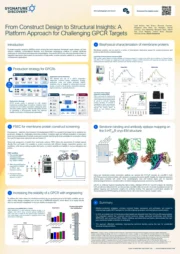 From Construct Design to Structural Insights: A Platform Approach for Challenging GPCR Targets