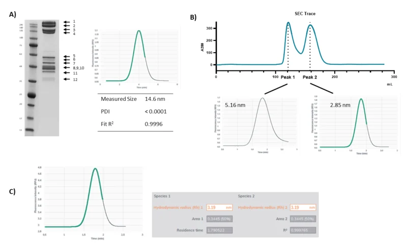 Examples of Fida data generated at Sygnature