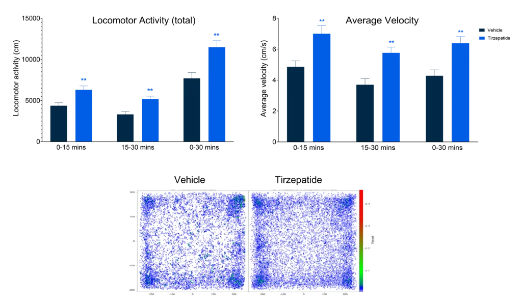 Tirzepatide treatment increases locomotor activity and movement speed compared with vehicle control in an open-field behavioural test.