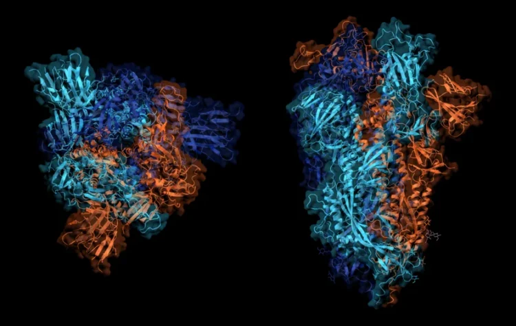 Producing Homotrimeric Proteins