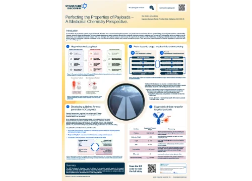 Perfecting the Properties of Payloads – A Medicinal Chemistry Perspective