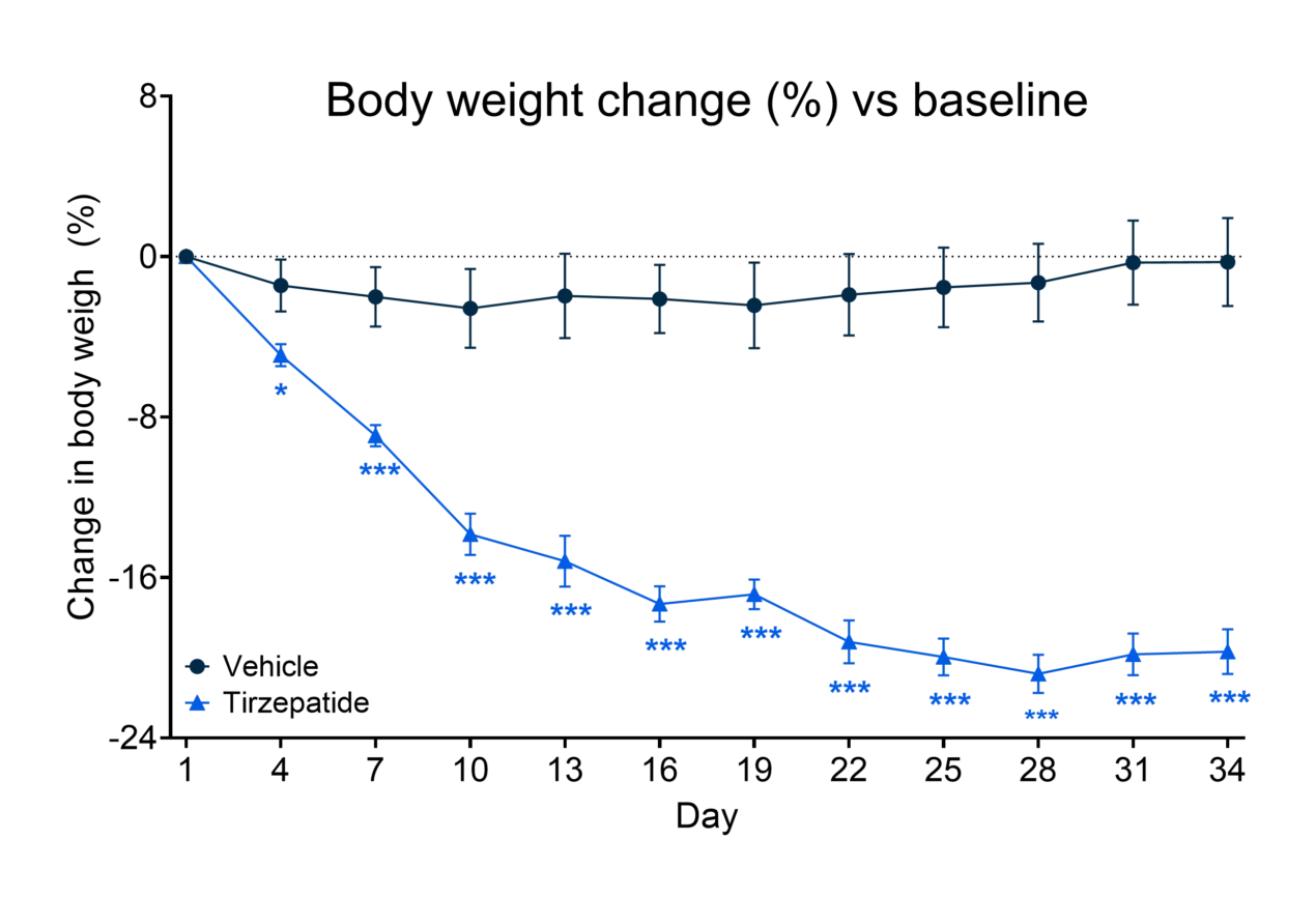 What Happens to Muscle During Incretin Treatment? Exploring Tirzepatide’s Impact on Muscle Mass in a Preclinical Model of Obesity