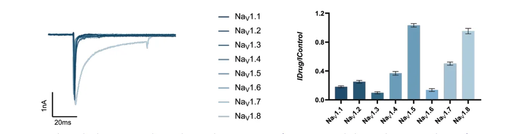 Current traces and subtype selectivity profile showing preferential activity against Nav1.5 and Nav1.8 compared with other Nav channel subtypes.
