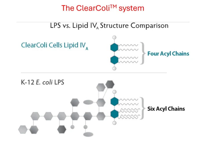 LPS in Clearcoli Vs K-12 E.coli