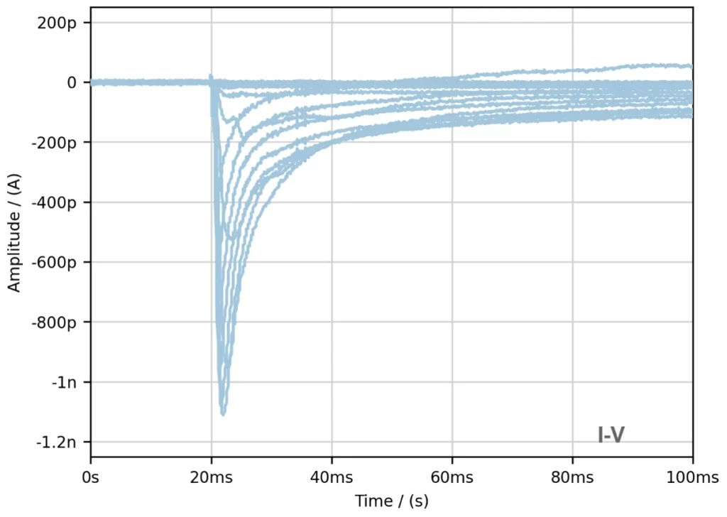 Representative I-V activation current traces showing voltage-dependent inward sodium currents with peak amplitudes up to approximately -1.1 nA.